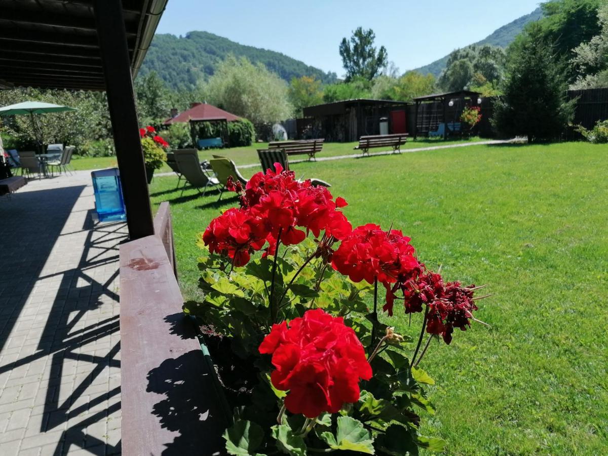 Cabana Poiana Galdei Exteriér fotografie