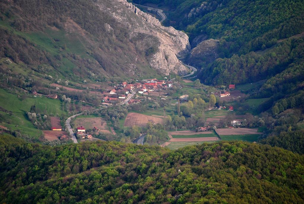 Cabana Poiana Galdei Exteriér fotografie