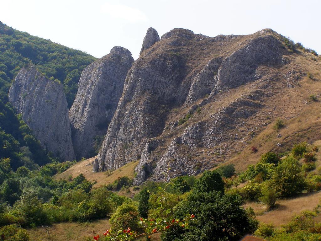 Cabana Poiana Galdei Exteriér fotografie