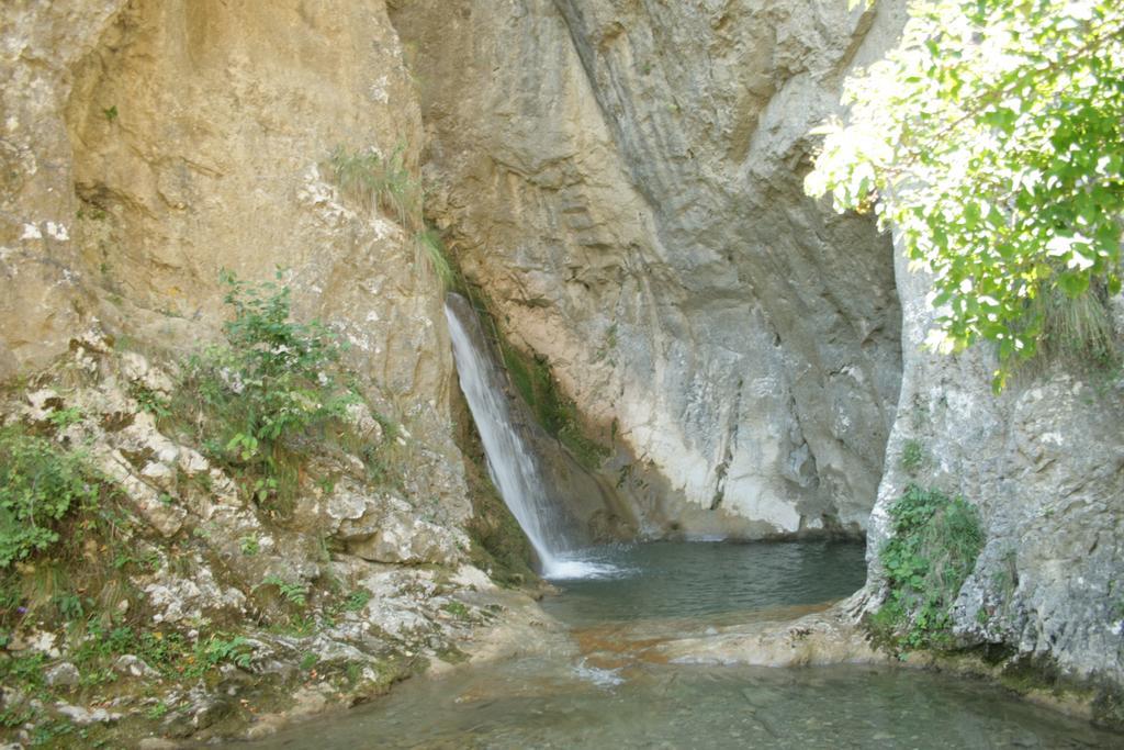 Cabana Poiana Galdei Exteriér fotografie