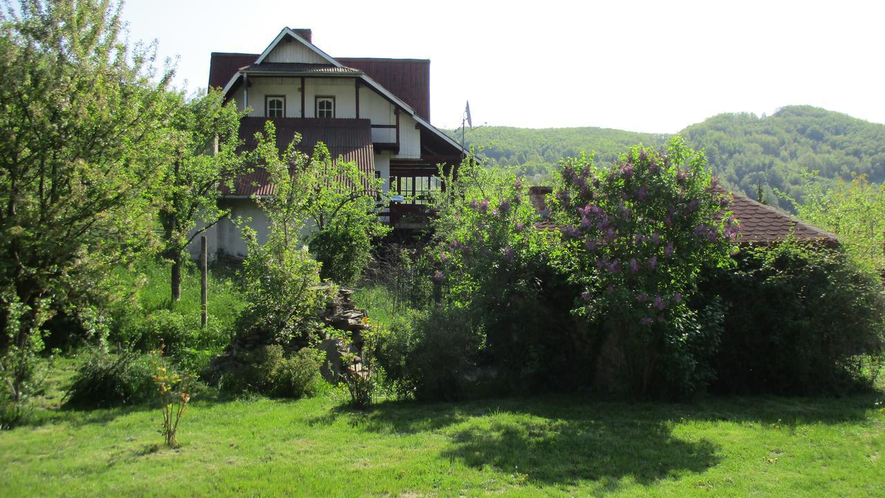Cabana Poiana Galdei Exteriér fotografie