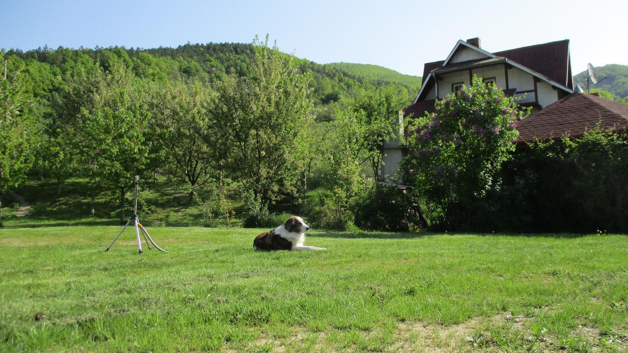 Cabana Poiana Galdei Exteriér fotografie
